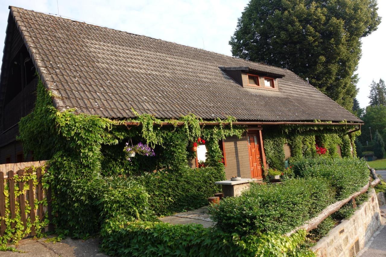 Pod Lipou Hotel Dolni Brusnice Exterior photo