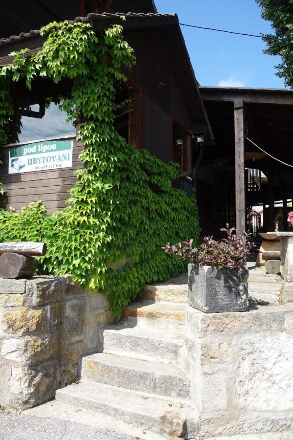Pod Lipou Hotel Dolni Brusnice Exterior photo